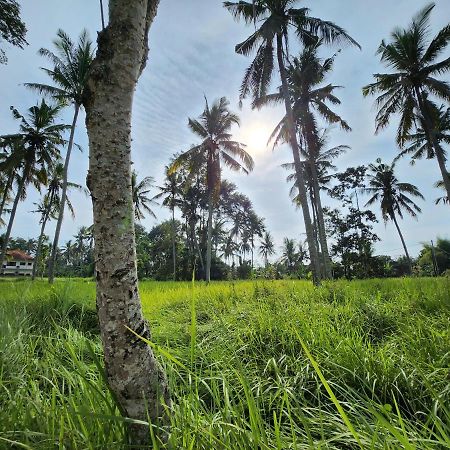 Casa Idea Ubud Экстерьер фото