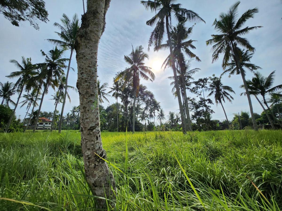 Casa Idea Ubud Экстерьер фото